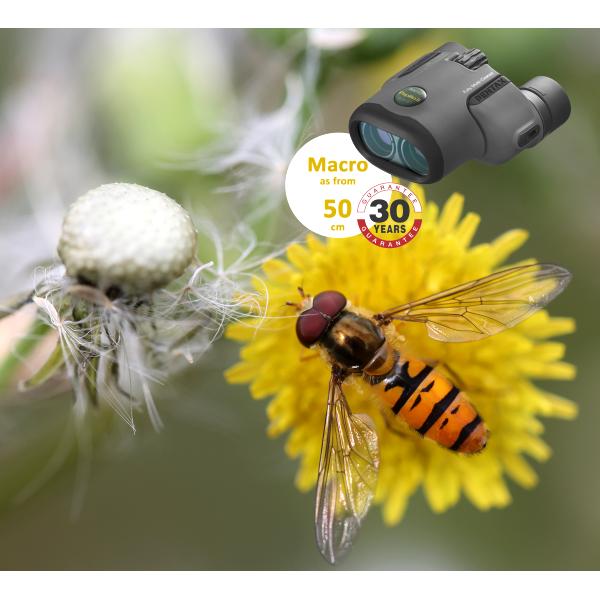 PENTAX PAPILIO II 8.5X21 - Jumelles macro