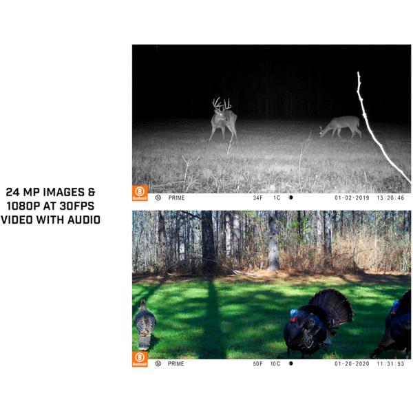 Bushnell 24MP Single Core Brown No Glow